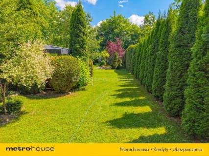 Dom 96,26 m2 z pięknym ogrodem 438 m - Golubki