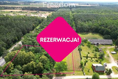 Działka budowlana z własnym lasem 5804 m Hola