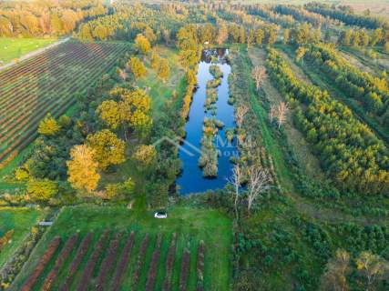 Grunty na Zalewem Wiślanym 21,8200ha