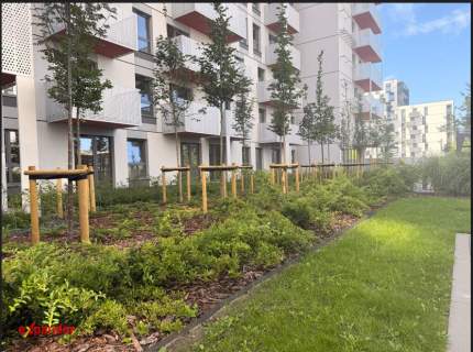 91 m 2 łazienki Garderoba Nowe Jeżyce