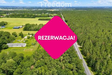 Działka budowlana z własnym lasem 5804 m Hola