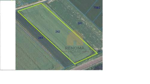 Działka budowlana na sprzedaż, 7000 m2, Świebodzice