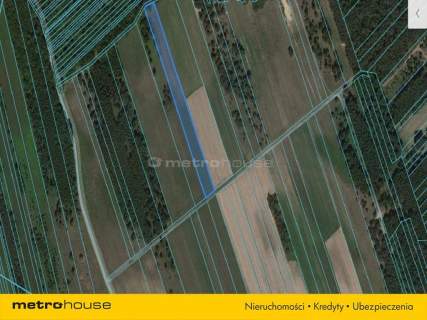 Działka rolna o pow. 6150 m2 - Kośminy