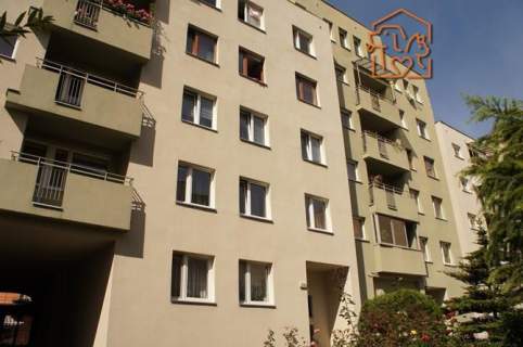 Studio pet-friendly - Śmiałego 29A, obok CH Turzyn