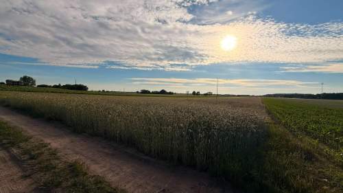 PIOTROWICE 79 ARÓW MPZP