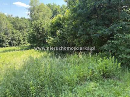 Działka budowlano - zielona Mszana ul. Górnicza