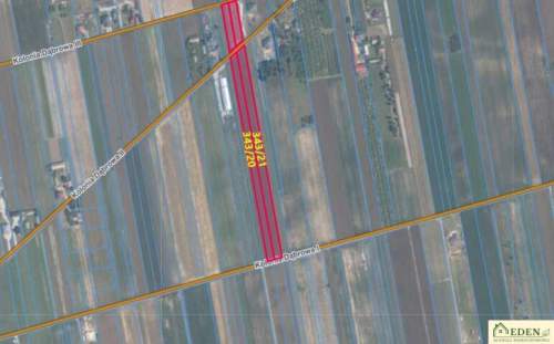 Sprzedam działki o pow. 0,24 Ha i 1,17 Ha w Okrzei gm. Krzywda