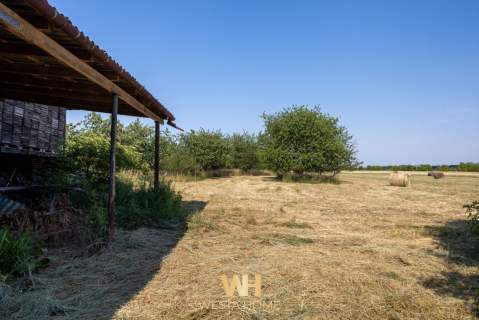 Dom z dużą działką 2538 m Garaż Ostrówiec