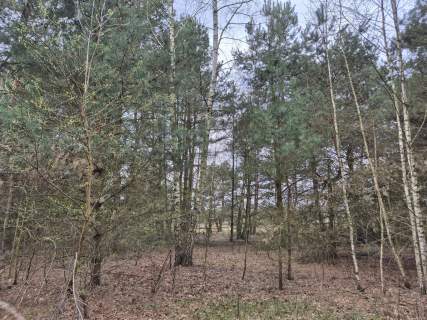 Działka budowlana, Kuklówka Radziejowicka, 1432 m2