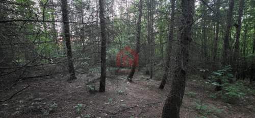 Las 85ar przy stoku narciarski, pomysł na glamping