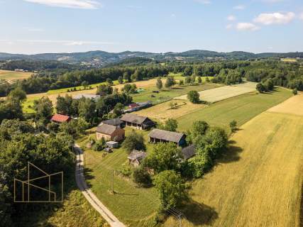 Dom do remontu w cichej, zielonej okolicy