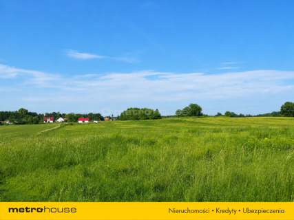 Działka z WZ w otoczeniu lasów Konary / Wińska