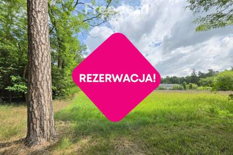 Działka budowlana z własnym lasem 5804 m Hola