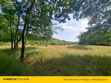 Działka 2,8ha w Dolinie Baryczy Wilkowo