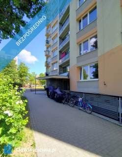 Kawalerka Balkon Piwnica - Przymorze Małe