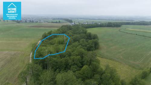 Działka z WZ i pozw. na budowę w otoczeniu lasu.