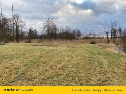 Działka 3300m2 Przęsławice gm.Pniewy