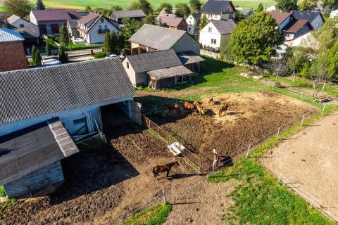Lgota Wolbromska Gospodarstwo Rolne Stadnina