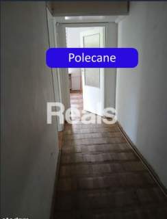 Wysokie 282 cm, otoczone zielenią, rozkładowe.