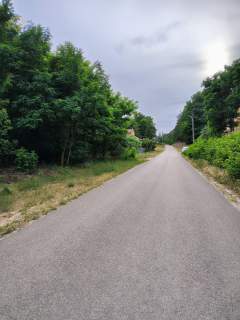 Sprzedam ziemię rolną 4 ha w Starych Budach