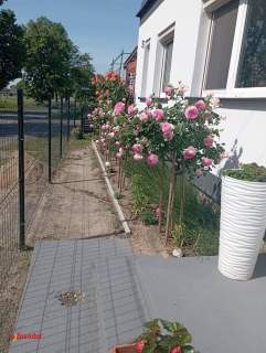 Gotowy do zamieszkania dom z fotowoltaiką i ogrodem Szydłowo