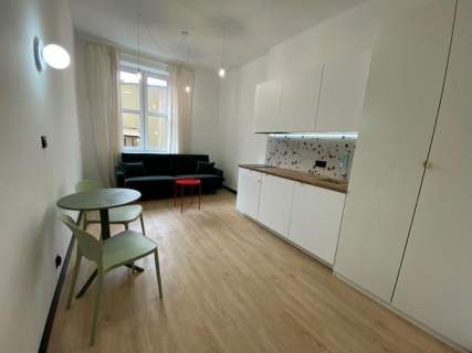 Studio obok Parku Wilsona - Strusia 11