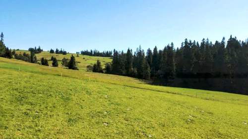 DZIAŁKA W RZEPISKACH Z WIDOKIEM NA TATRY
