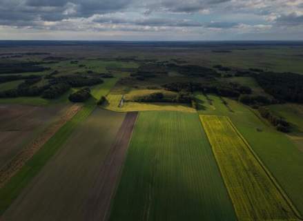 Działka na sprzedaż, 11800 m2, Radziłów