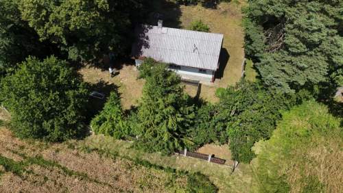 Dom wśród lasu obok Brzeska