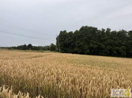 Duża działka z WZ - wiele możliwości
