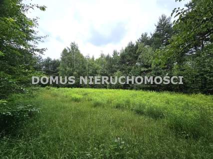 Działka inwestycyjna w Brzezinach