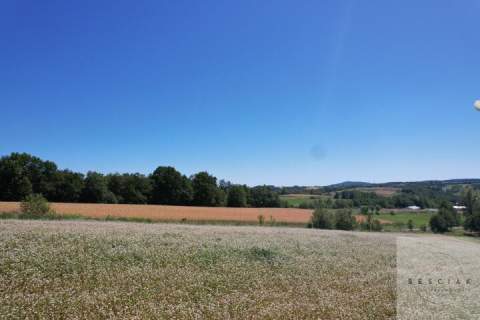 Na sprzedaż działka z WZ na dom i usługi w Lubczy