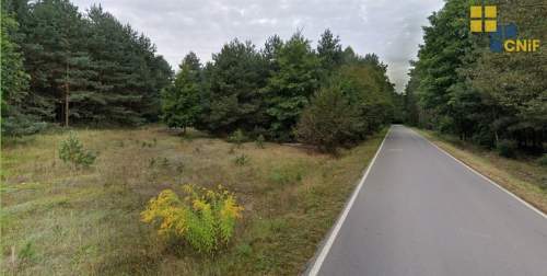 Skrajnica - zalesiony teren budowlano-rolny