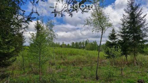 Twoje miejsce ciszy 750m od jeziora Warmia Mazury