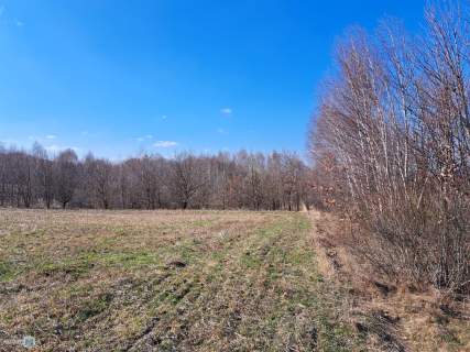 Widokowa działka - stadnina koni, agroturystyka