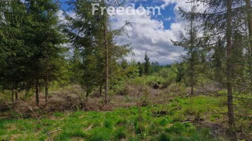 Twoje miejsce ciszy 750m od jeziora Warmia Mazury