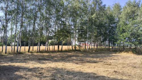 Działka rolno-budowlana 41 arów Dąbrówka Osuchowska