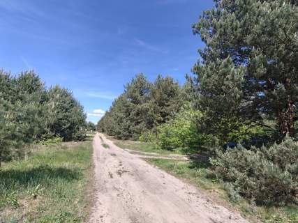 Michałów - urokliwa działka budowlana 5500 m2