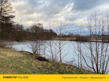 Atrakcyjna działka ze stawami - 3,62 ha gm. Pniewy