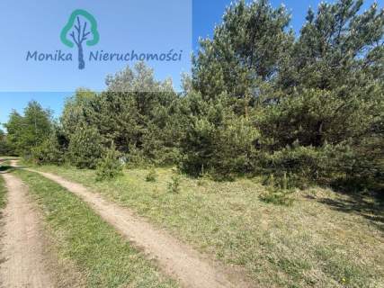 Działka budowlana w otoczeniu lasu, blisko jeziora