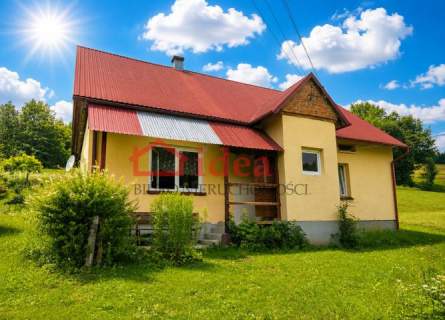 4 HEKTAROWE SIEDLISKO W HUCIE PORĘBY