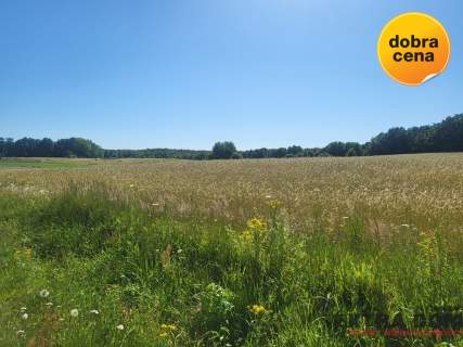 Działka budowlana na sprzedaż, 3000 m2, Kikorze