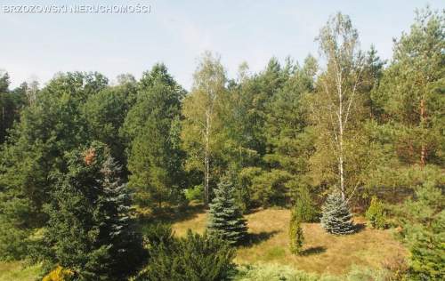 Wesoła, Stara Miłosna, dz. 3000 m2, mieszkaniowa