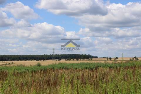 Działka 35 arów, wydane WZ, Racław