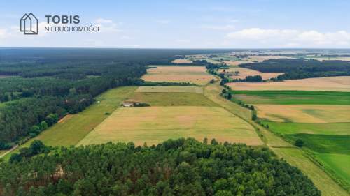 Działka Radosiew / WZ 2 DOMY STAJNIA