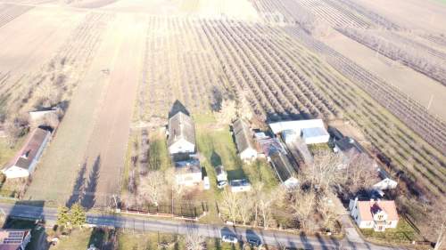 Dom i dochodowy sad 1,74 ha Zakup dla każdego