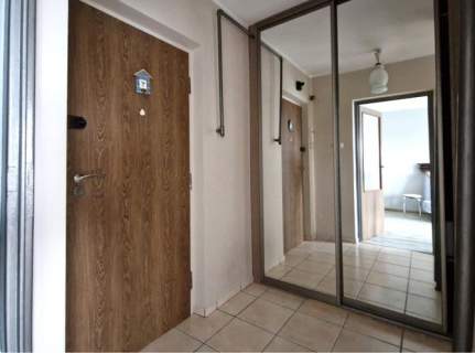 Kawalerka z balkonem, pet friendly, Rojna 52