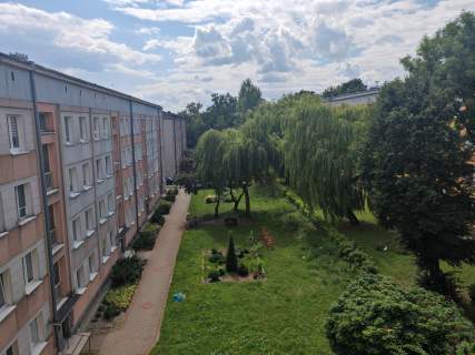 Mieszkanie - Częstochowa Tysiąclecie 51m2