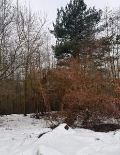 Syndyk sprzeda działki budowlane nad jeziorem w Brodnicy
