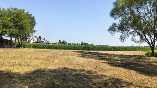 Działka rolno-budowlana 41 arów Dąbrówka Osuchowska